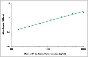 Mouse BR Cadherin ELISA Kit