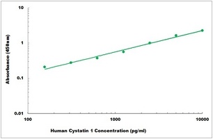 Human Cystatin 1 ELISA Kit