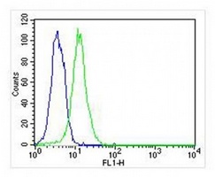 ATG4A Mouse Monoclonal Antibody