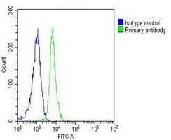 SUMO1 Mouse Monoclonal Antibody