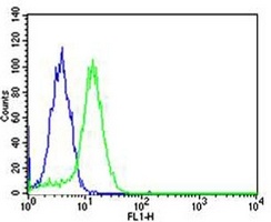 USP11 Mouse Monoclonal Antibody