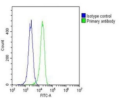 RAB27 Mouse Monoclonal Antibody