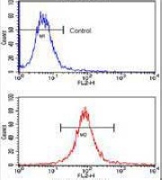 SOX2 Mouse Monoclonal Antibody