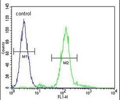 AREB6 Mouse Monoclonal Antibody