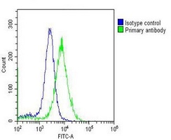 MCM3 Mouse Monoclonal Antibody