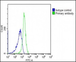 CD10 Antibody