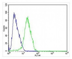 CHRM2 Mouse Monoclonal Antibody