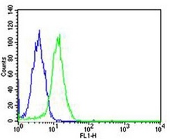 SP1 Mouse Monoclonal Antibody