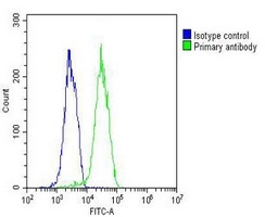 TIP47 Mouse Monoclonal Antibody