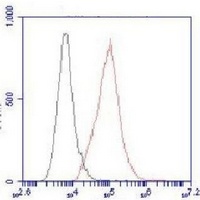 ACLY Mouse Monoclonal Antibody