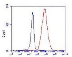COX4-1 Antibody