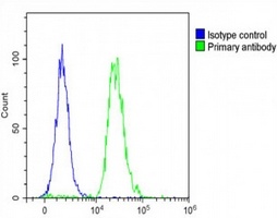 FAM3A Antibody