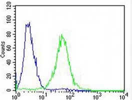 ak2 Rabbit Polyclonal Antibody