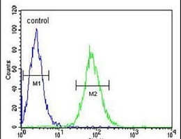 GGNBP2 Rabbit Polyclonal Antibody