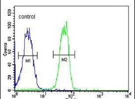 BTNL8 Rabbit Polyclonal Antibody