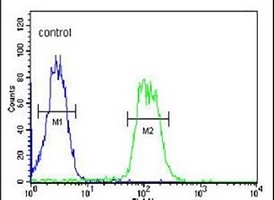 ATHL1 Rabbit Polyclonal Antibody