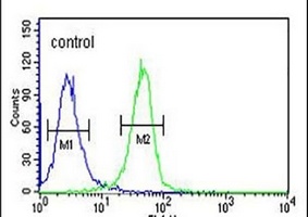 EFR3A Rabbit Polyclonal Antibody