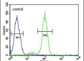 PTPLB Rabbit Polyclonal Antibody