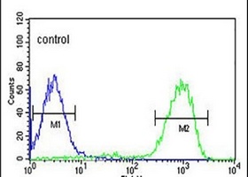 OPN1MW Rabbit Polyclonal Antibody