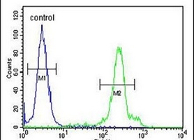 ERMN Rabbit Polyclonal Antibody