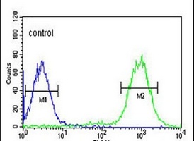 MISP Rabbit Polyclonal Antibody