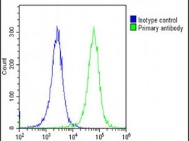 Collagen 14 alpha 1 Antibody