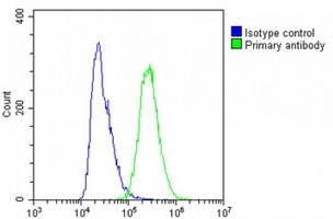 SEC24B Rabbit Polyclonal Antibody
