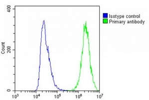 MIF4GD Rabbit Polyclonal Antibody