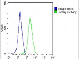 INTS3 Rabbit Polyclonal Antibody