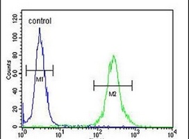 MRAP Rabbit Polyclonal Antibody