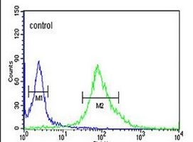DDX49 Rabbit Polyclonal Antibody