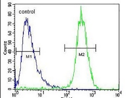 TYROBP Rabbit Polyclonal Antibody