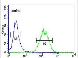 ACSBG2 Rabbit Polyclonal Antibody