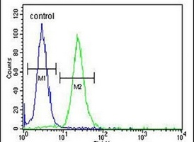 LMBR1L Rabbit Polyclonal Antibody