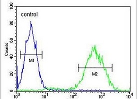 PRUNE Rabbit Polyclonal Antibody