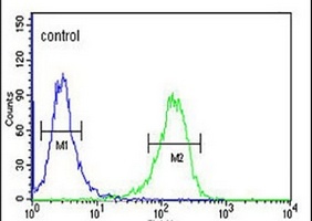TSPEAR Rabbit Polyclonal Antibody