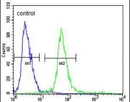 KCTD12 Rabbit Polyclonal Antibody