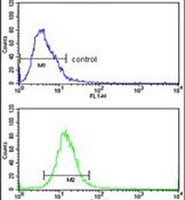ADH6 Rabbit Polyclonal Antibody