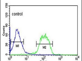 FBXO3 Rabbit Polyclonal Antibody