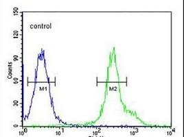 RABAC1 Rabbit Polyclonal Antibody