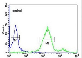 RAB8A Rabbit Polyclonal Antibody