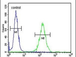 DZIP1 Rabbit Polyclonal Antibody