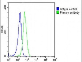 SCAP Rabbit Polyclonal Antibody
