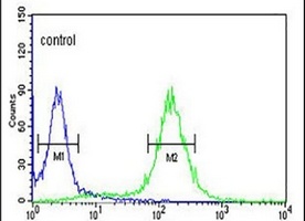MPST Rabbit Polyclonal Antibody