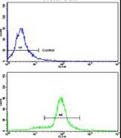 SRP72 Rabbit Polyclonal Antibody