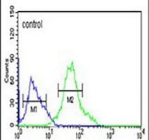 GBAS Rabbit Polyclonal Antibody