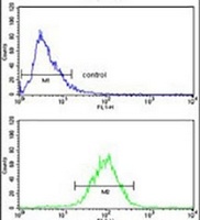 SPCS3 Rabbit Polyclonal Antibody