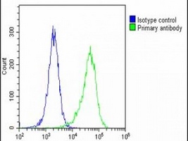 MAGEA2 Rabbit Polyclonal Antibody