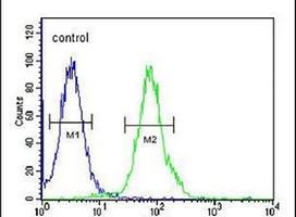 RTKN2 Rabbit Polyclonal Antibody