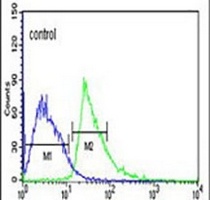 KLHL6 Rabbit Polyclonal Antibody